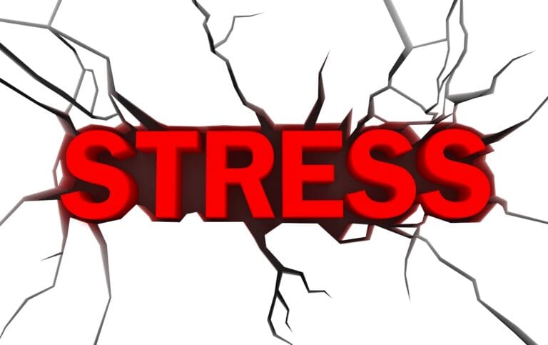 Stress und die Funktion verschiedener Gehirnareale